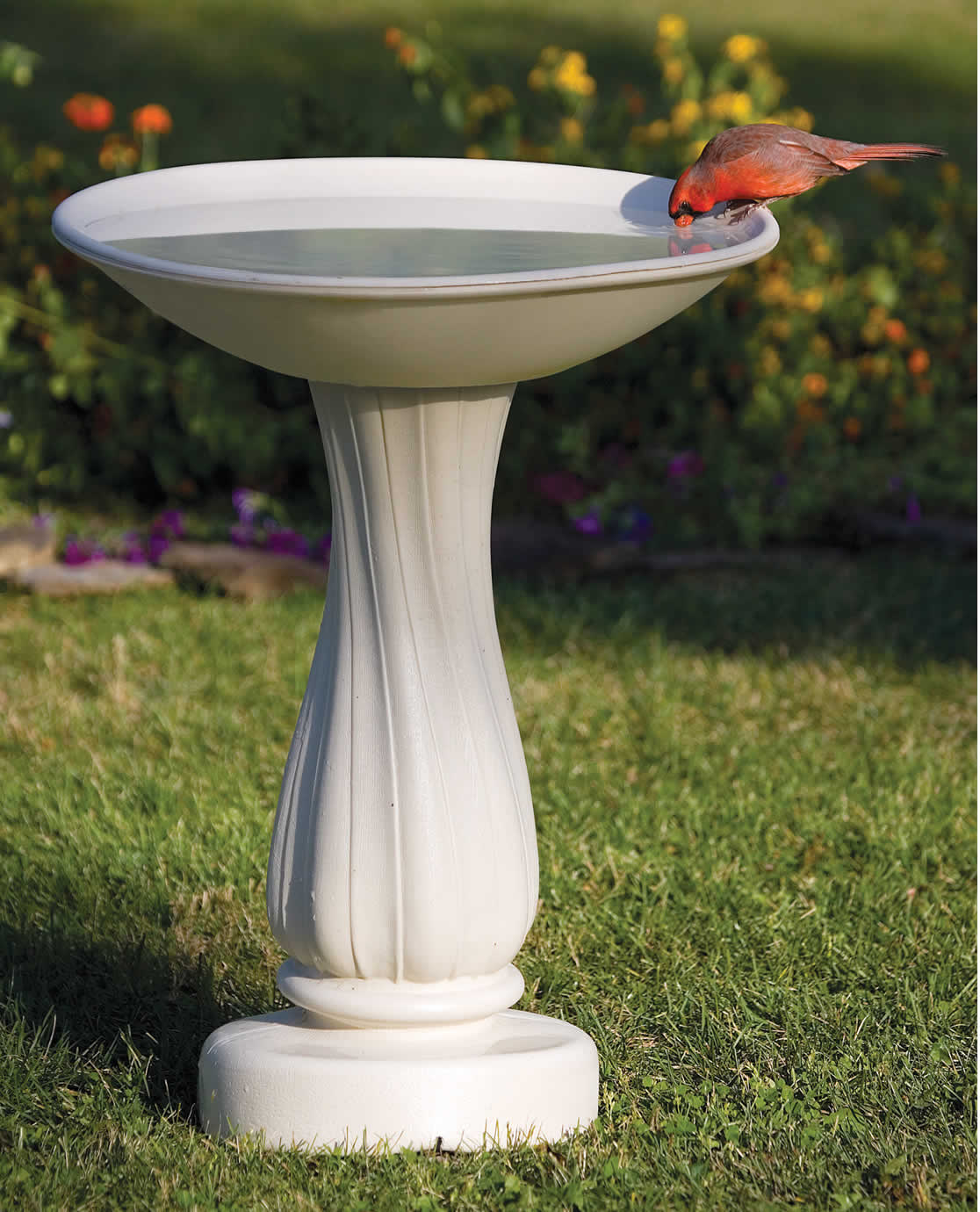 All-Seasons Heated Bath with 25" Pedestal