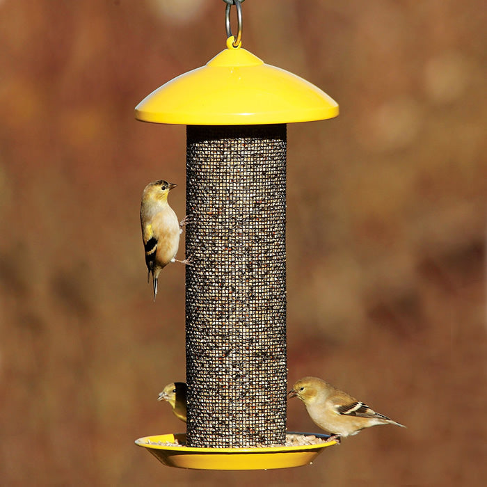 Finch Screen Feeder