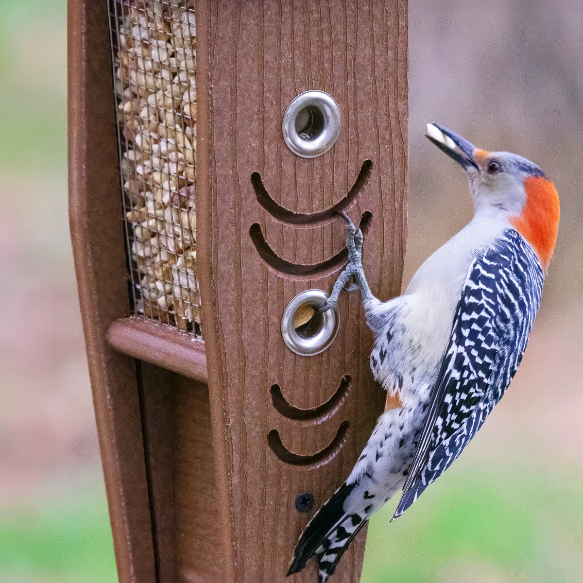 Duncraft Woodpecker Mesh Bird Feeder