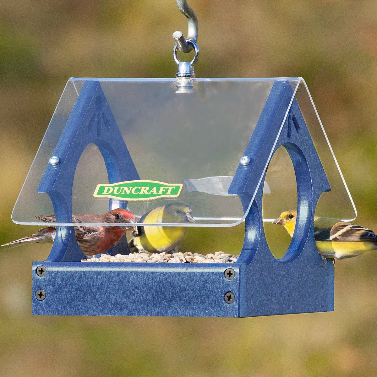 Duncraft Songbird Mealworm Magnet Feeder