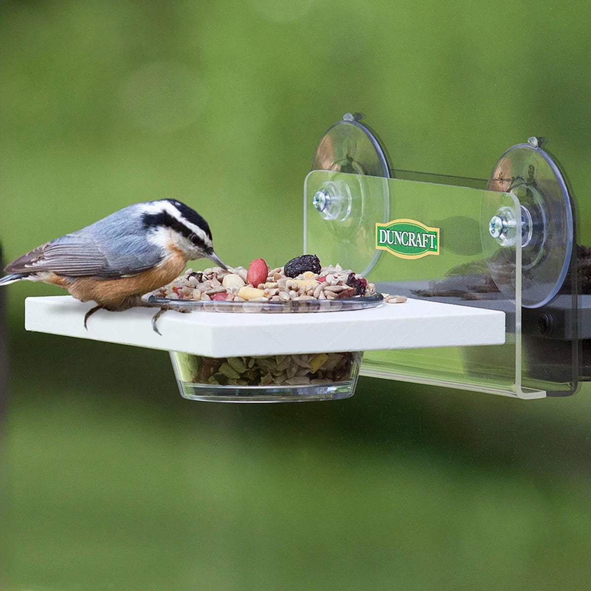 Window Easy Serve Feeder