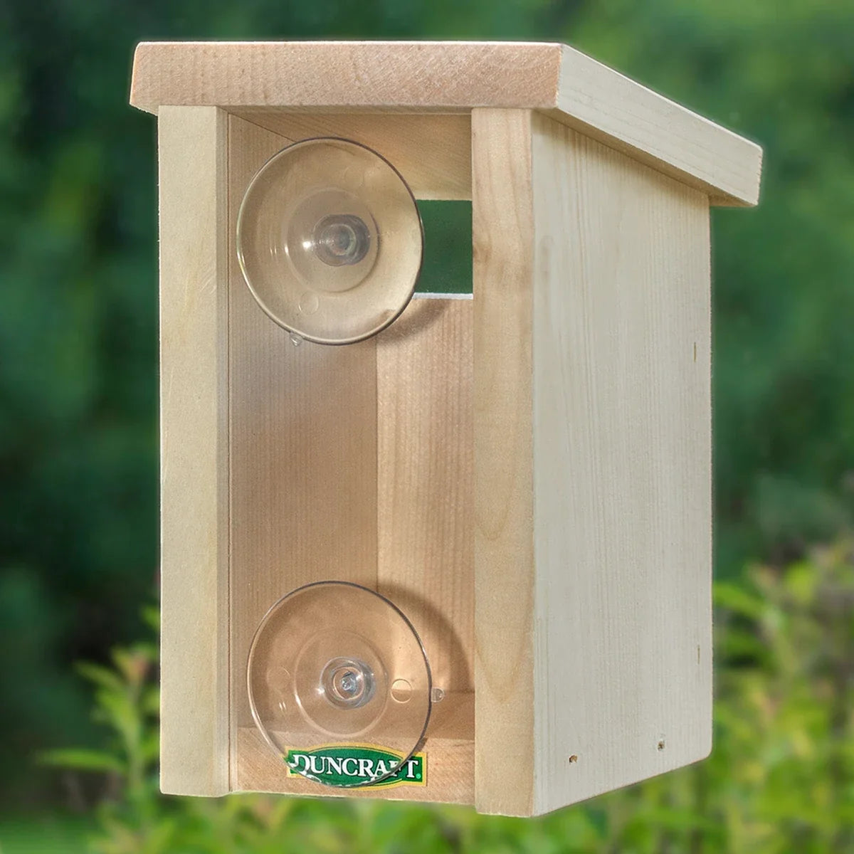 Slot Entry Window View Bird House