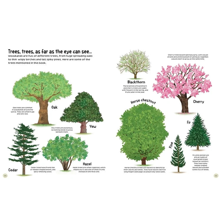 Woodland Book : Usborne