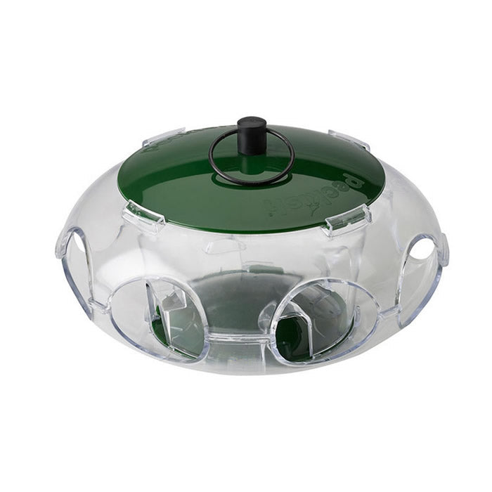 Small Bird Seed Bird Feeder