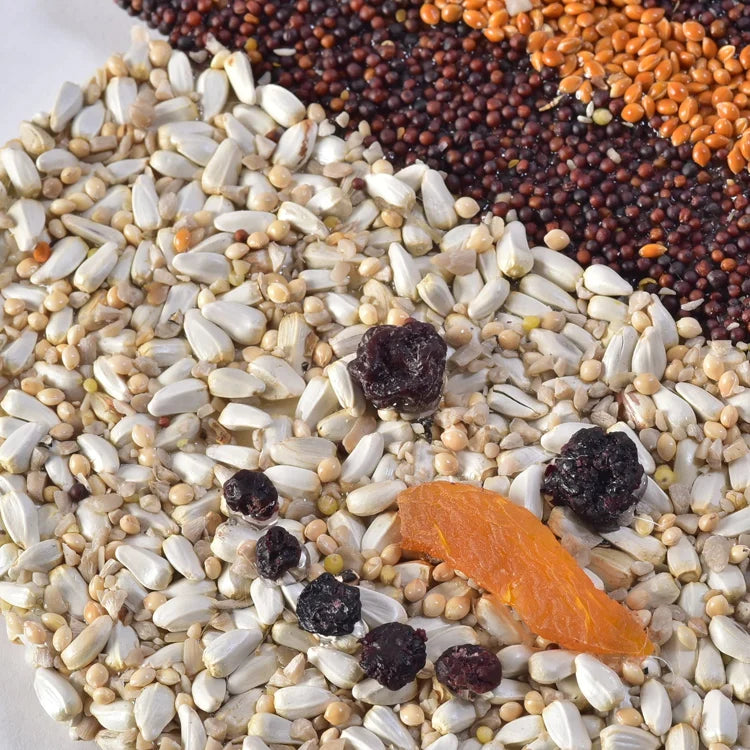 Holiday Bird Seed Cookie, Frosty