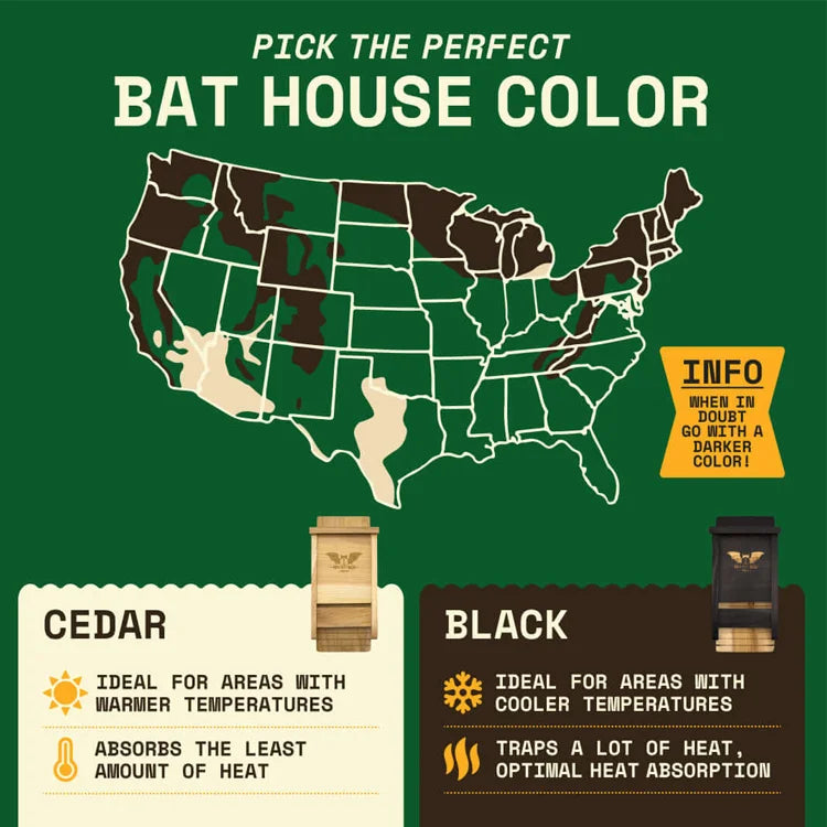 Single Chamber Bat House, Black
