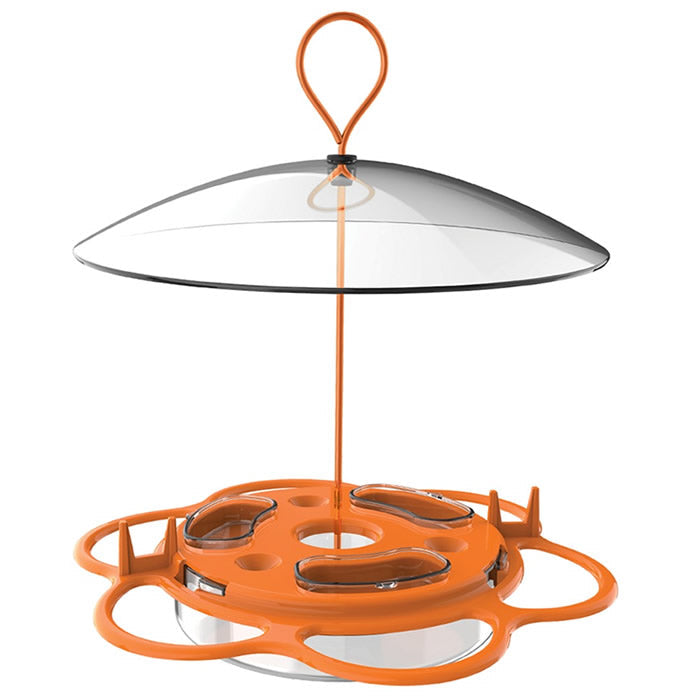 All-In-One Oriole Buffet