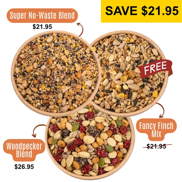 Backyard Banquet Seed Bundle