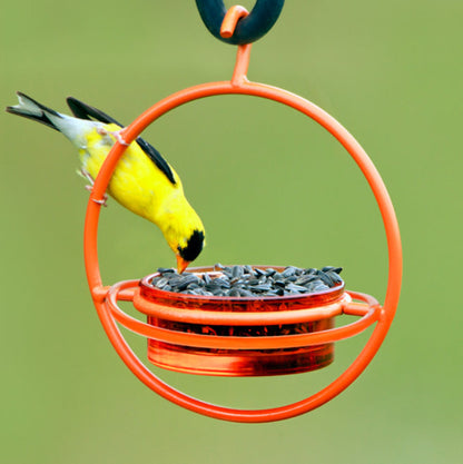 Orange Hanging Sphere Feeder with Perch