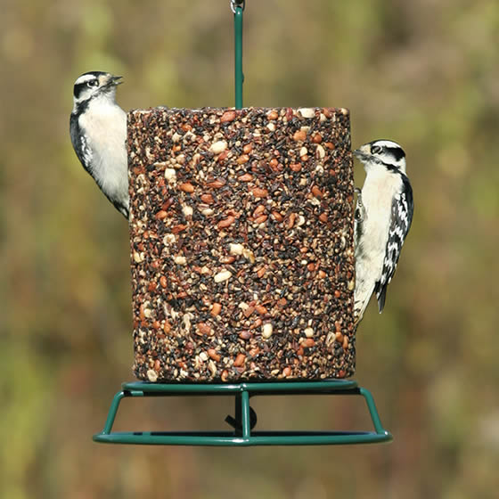 Mr. Bird EZ Wire Seed Log Feeder