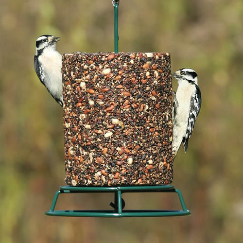 Mr. Bird EZ Wire Seed Log Feeder
