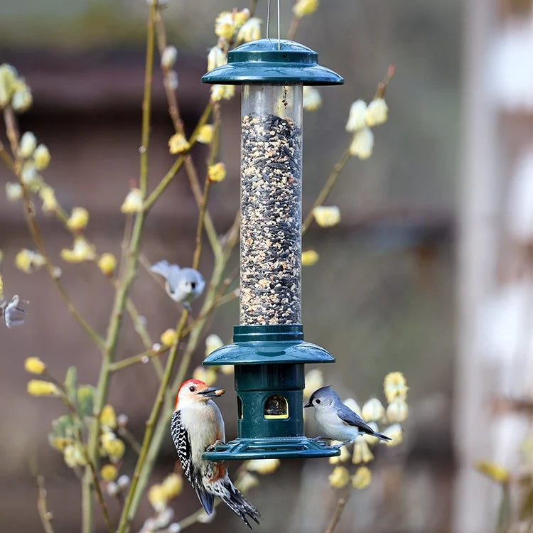 Brome Squirrel Buster Evolution Bird Feeder