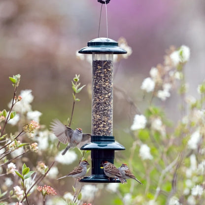 Brome Squirrel Buster Evolution Bird Feeder