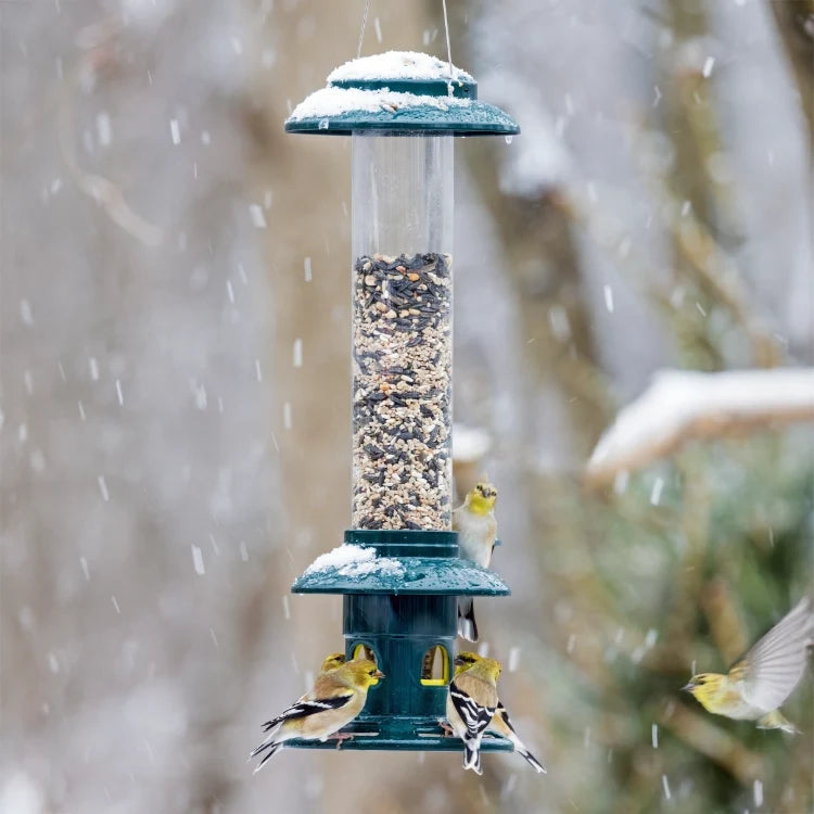 Brome Squirrel Buster Evolution Bird Feeder
