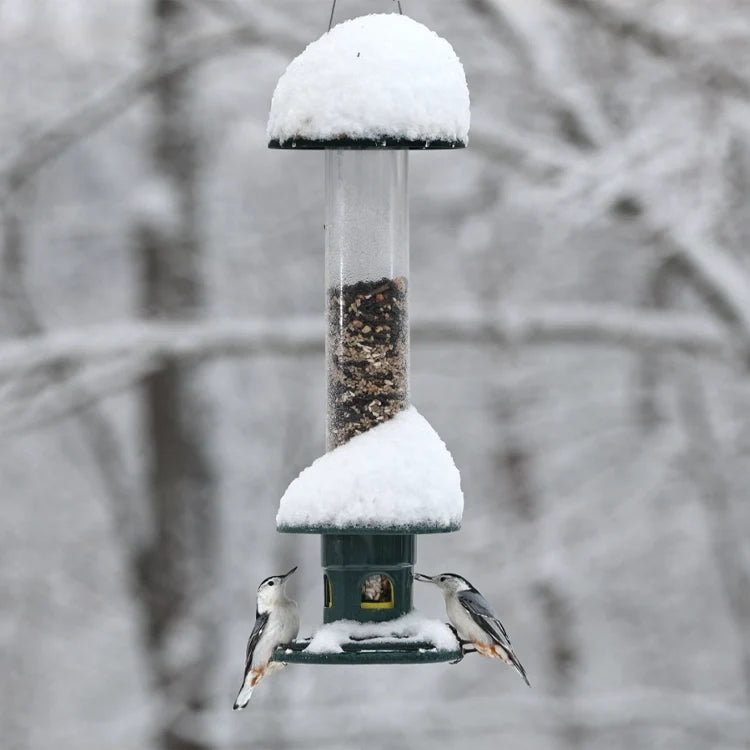 Brome Squirrel Buster Evolution Bird Feeder