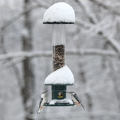 Brome Squirrel Buster Evolution Bird Feeder