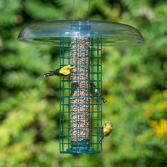 Duncraft Squirrel Blocker™ Bird Feeder with Slot Top Baffle