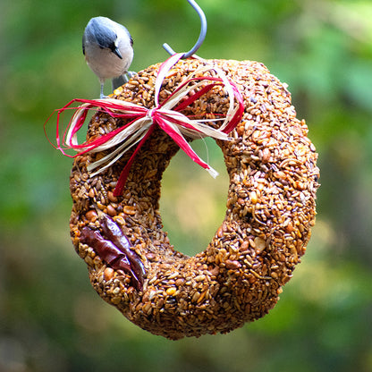 Mr. Bird Flaming Hot Feast Bird Seed Wreath