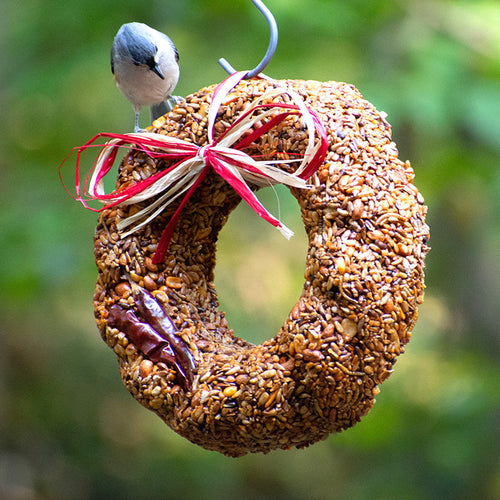 Mr. Bird Flaming Hot Feast Bird Seed Wreath