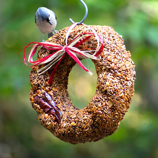 Mr. Bird Flaming Hot Feast Bird Seed Wreath