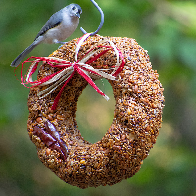 Mr. Bird Flaming Hot Feast Bird Seed Wreath