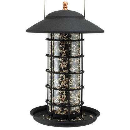 Modern Farmhouse Metal & Glass Tube Bird Feeder