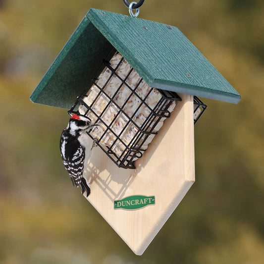 Double Woodpecker Suet Feeder
