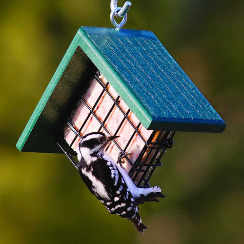 Duncraft Woodpecker Suet Feeder