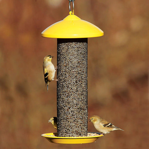 Finch Screen Feeder