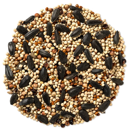 Wild Delight Buffet Wild Bird Seed, 10-lb bag