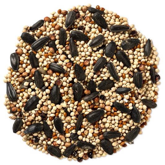 Wild Delight Buffet Wild Bird Seed, 10-lb bag