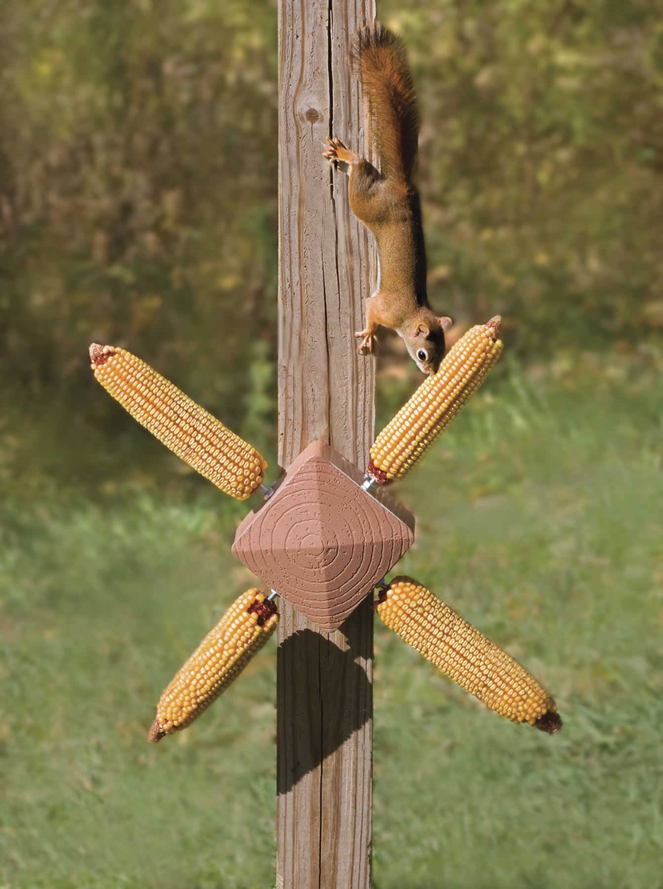 Squirrel Twirl Feeder