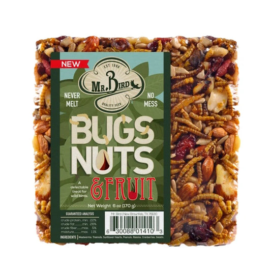 Mr. Bird Bugs, Nuts, & Fruit Block Small, Set of 3