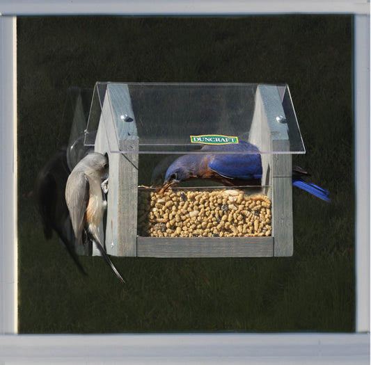 Duncraft Window Mealworm Feeder