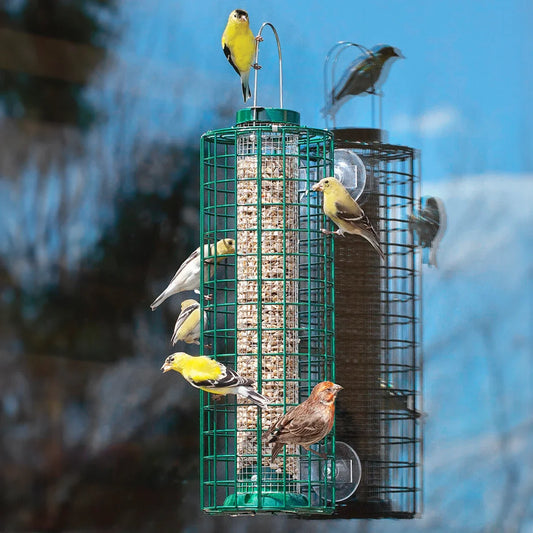 Squirrel Proof Window Selective Bird Feeder