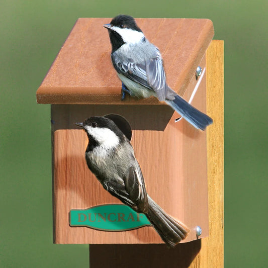 Eco-Chickadee Bird House