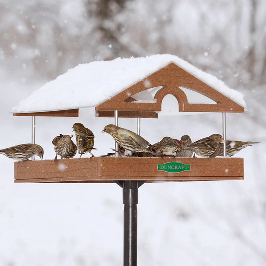 Duncraft Pavilion Platform Post Feeder