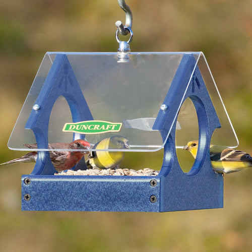 Duncraft Songbird Mealworm Magnet Feeder
