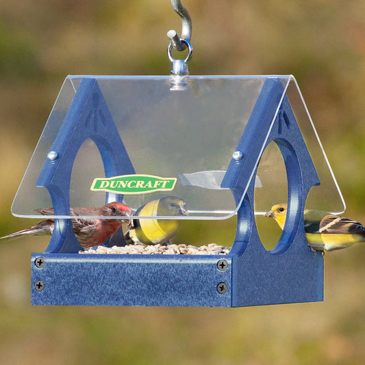 Duncraft Songbird Mealworm Magnet Feeder