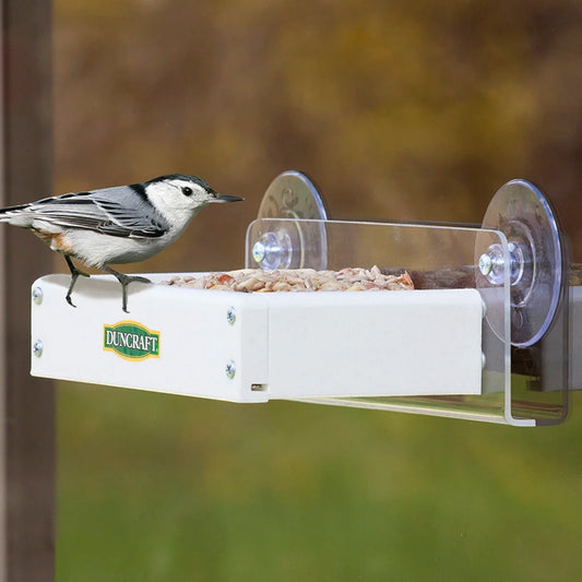 Duncraft Window Platform Bird Feeder