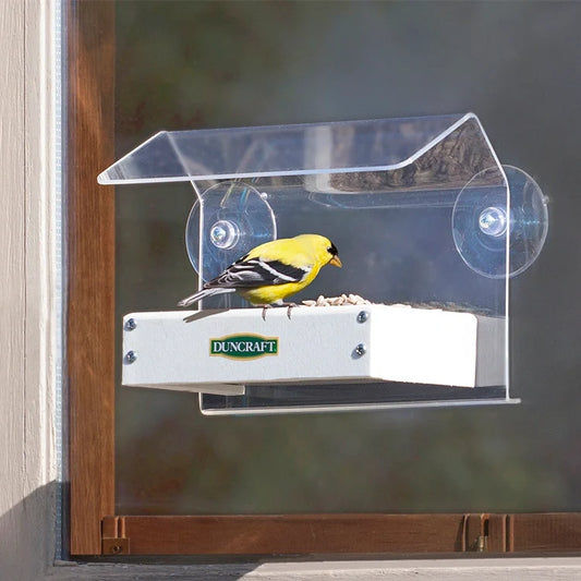 Duncraft Sheltered Water Shed Window Bird Feeder