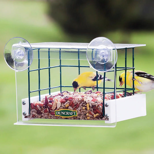 Duncraft Sheltered Haven Window Bird Feeder