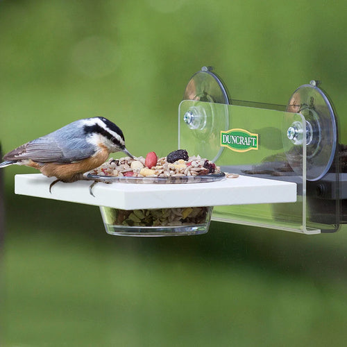 Window Easy Serve Feeder