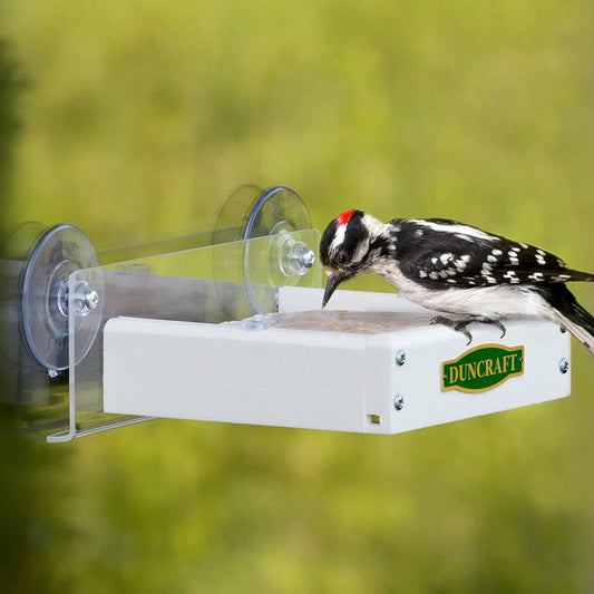 Duncraft Touch Free Window Suet Feeder
