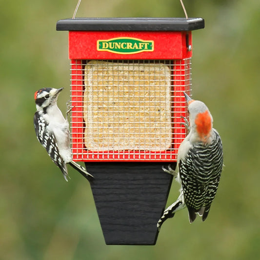 Duncraft Three Woodpecker Suet Shield™ Wrap Feeder