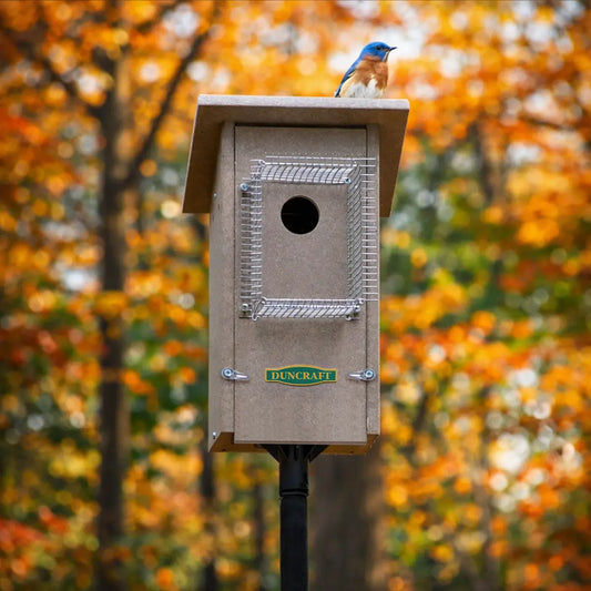 Duncraft Bird-Safe® Weathered Bluebird House & Pole with Noel Guard