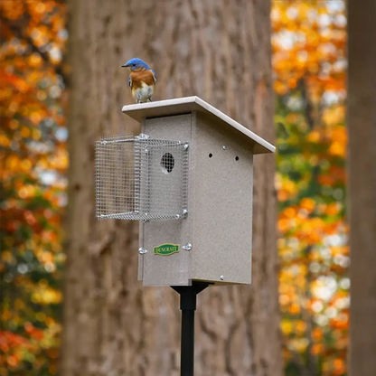 Duncraft Bird-Safe® Weathered Bluebird House & Pole with Noel Guard