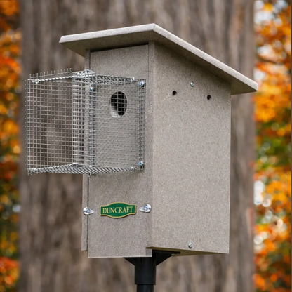 Duncraft Bird-Safe® Weathered Bluebird House & Pole with Noel Guard