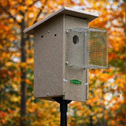 Duncraft Bird-Safe® Weathered Bluebird House & Pole with Noel Guard