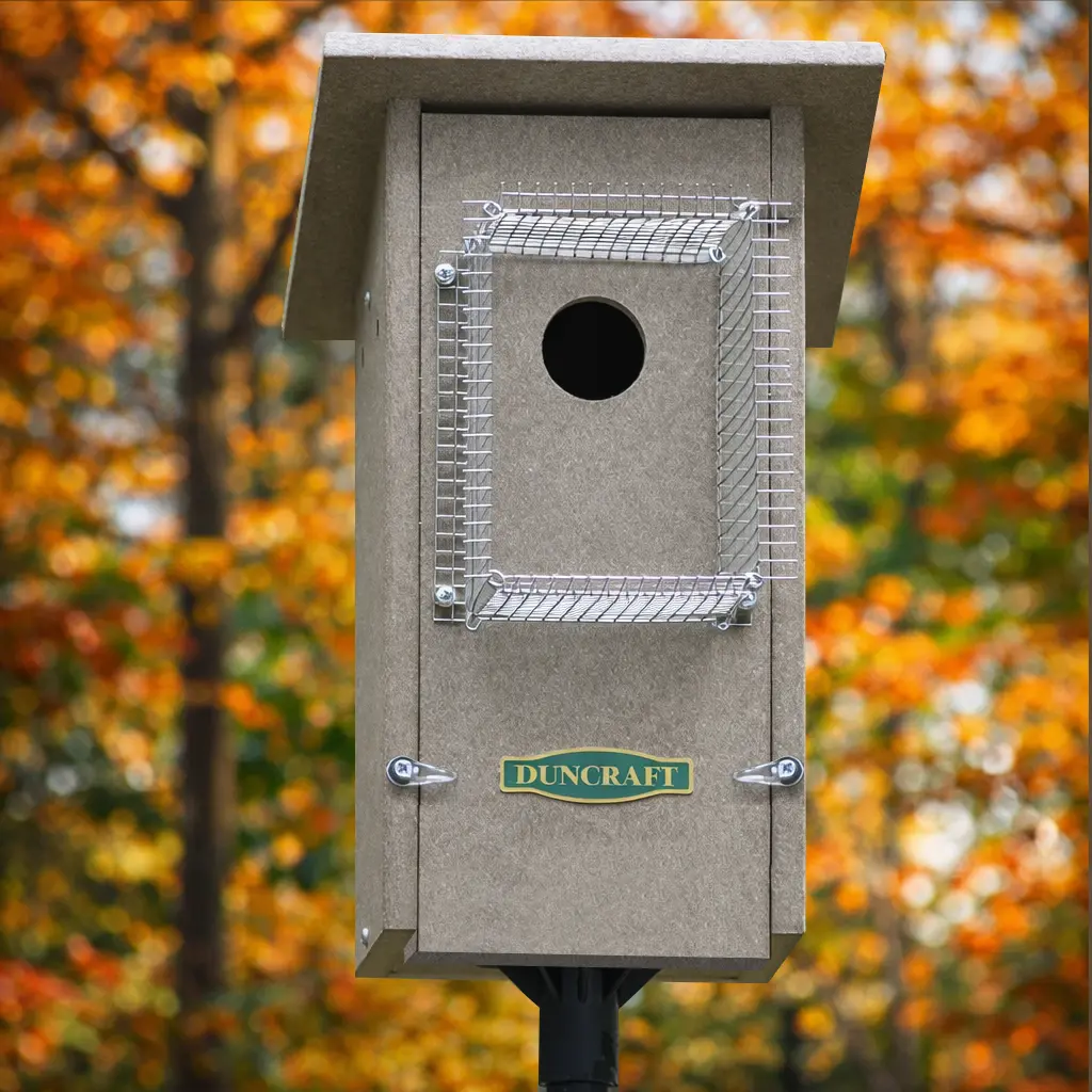 Duncraft Bird-Safe® Weathered Bluebird House & Pole with Noel Guard